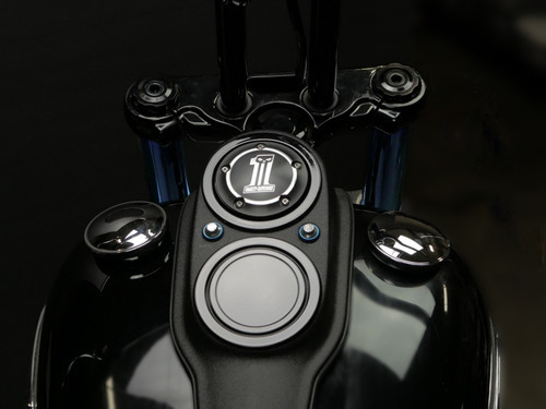 31State Dual Combo Cover Plates