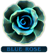 Blue Rose Collection