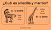 bilingual language card common vocabulary for beginning readers