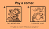 spanish english reading card building early reading skills with simple words