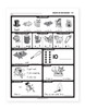 Sample pages from the Reading Level P Workbook showing reading and literacy practice for Kindergarten and Grade 1 students.