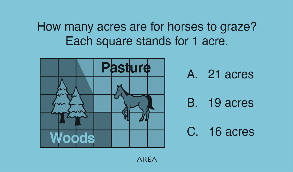 FUN-005 Fun-in-a-Bucket, Math Level D (4th Grade) - Frog Publications