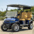 MODZ Dach Apollo Golf Cart Foldable Windshield