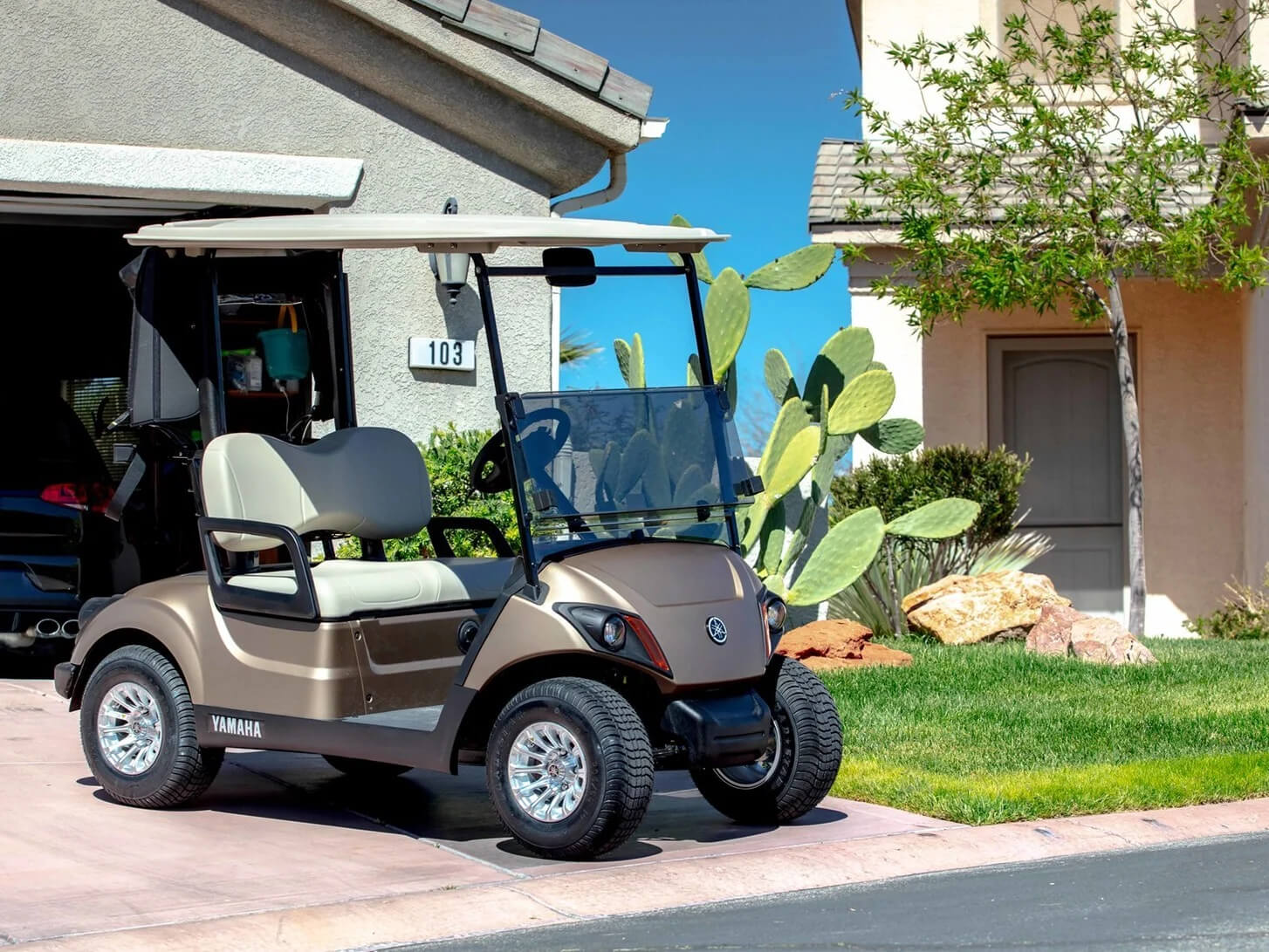 06-best-golf-cart-2024-yamaha-drive-2-golf-cart-gcts-01.jpg