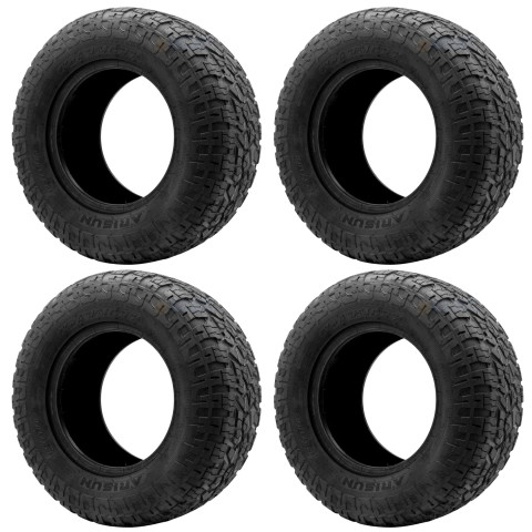 ARISUN-X-ARMORY-23x-10-R12-