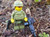 BrickArms PCV - Signal Vest  BrickArms PCV - Signal Vest