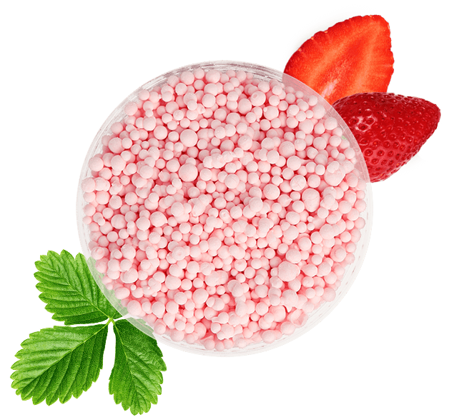 Strawberry Ice Cream
