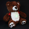 BooBuddy Interactive Bear