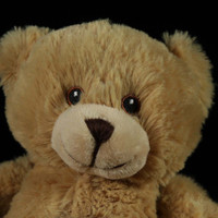 Boo Bear EMF Trigger Doll