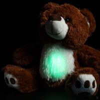 BooBuddy Interactive Ghost Hunting Bear BooBuddy Interactive Ghost Hunting Bear