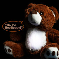 BooBuddy Interactive Ghost Hunting Talking Interactive Bear BooBuddy Interactive Ghost Hunting Talking Interactive Bear