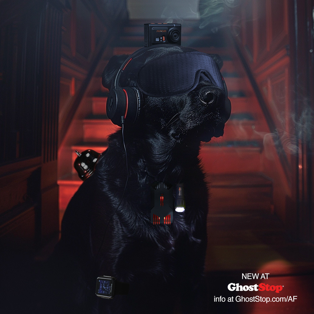 Ghost Hunting Equipment for Dogs
