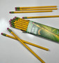 Personalized pencils, engraved, back to school , teacher gifts,pastel colors, ticonderoga