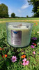 Sage & Sanctuary - Wood Wick Soy Candle ((Black Kyanite, Black Tourmaline, Obsidian, Amethyst, Labradorite)- Embossed Glass