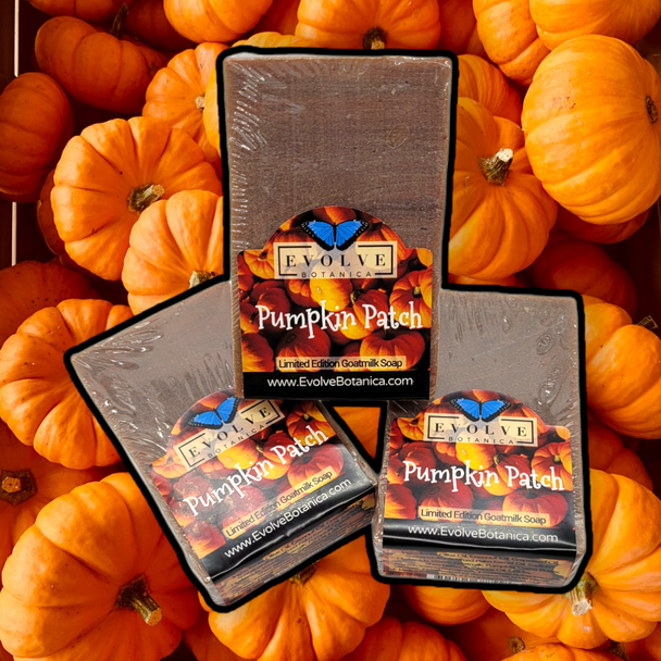 Evolve Botanica Standard Soaps Standard Soap - Pumpkin Patch (Seasonal)