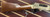 Henry .45-70 Wildlife Edition Rifle