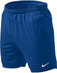 nike park 2 knit short