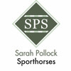 Sarah Pollock Sporthorses