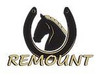 Remount