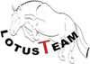 Holsteiner Stallion Lotus T
