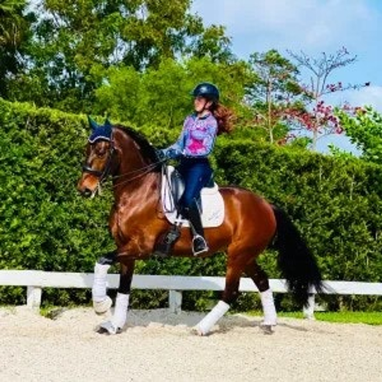 Farruquito - Schooling PSG