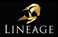 Lineage Equine