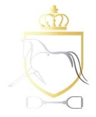 Dressage Queen Dream