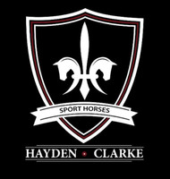 Hayden and Clarke Sporthorses