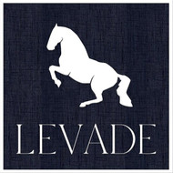Levade Clothiers