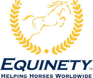 Equinety LLC