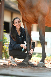 Centerline Equine Clipping 