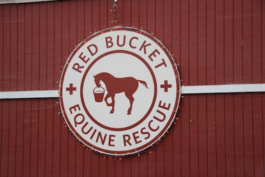 Screen Shot 2018-11-27 at 10.27.16 AM.png