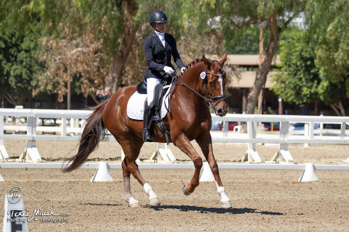 TM- Ember Canter.JPG