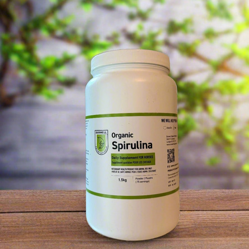Durwell Pure Organic Spirulina
