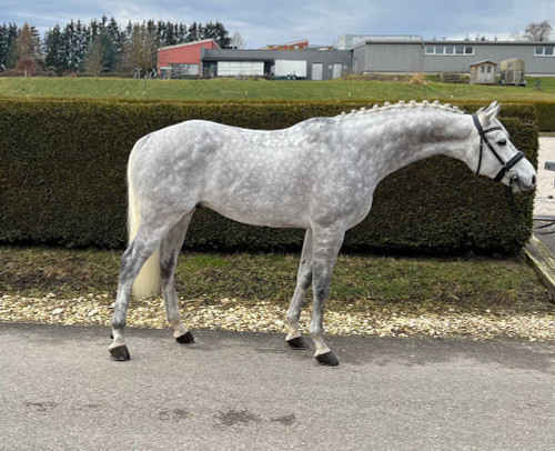 WhatsApp Image 2025-03-20 at 06.27.04_82c0398e.jpg