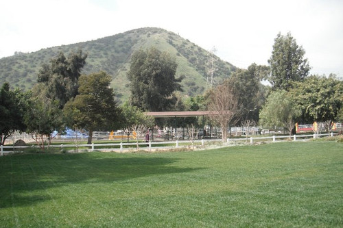 paddock6.jpg