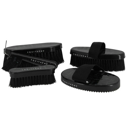 EQUITHÈME – Teenage Face Brush