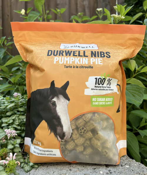Durwell Nibs Horse Treats: Pumpkin Pie (NO SUGAR)