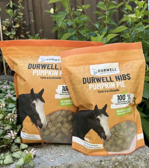 Durwell Nibs Horse Treats: Pumpkin Pie (NO SUGAR)