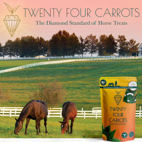 SUPER FOOD HORSE TREATS TWENTY FOUR CARROTS SQUARE.png