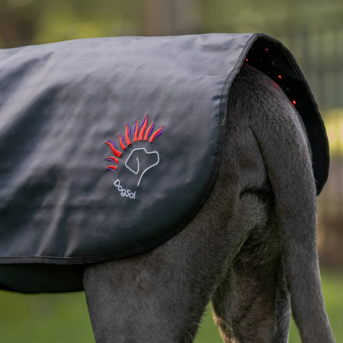 DogSol Red Light Therapy Blanket for Dogs – Pain Relief & Recovery