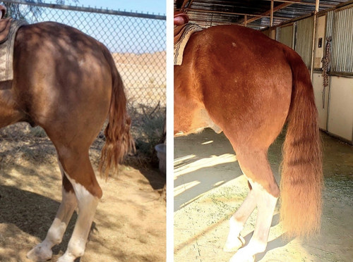 Screen Shot 2021-03-02 at 9.14.18 AM.png