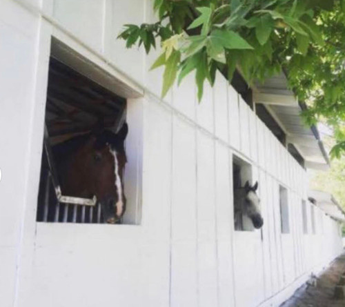 Screenshot 2025-08-22 at 2.26.56 PM.png