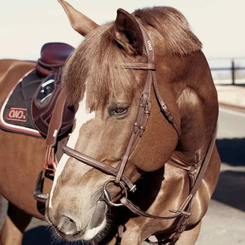 raised-french-noseband-bridle-with-fancy-stitching-1.jpg