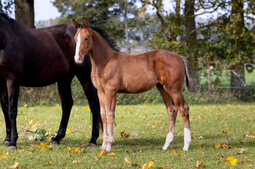 AeiUF579V_pfREvWS3nEHEpcQ