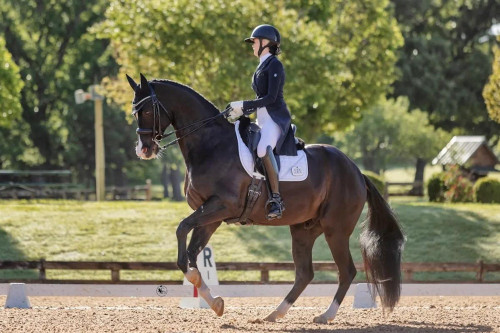 8j_2eBbSfnoeSFqmNzsKlO8Lg