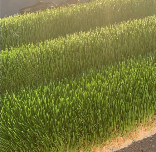 Screen Shot 2021-04-15 at 9.48.48 AM.png