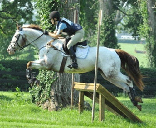 Screen Shot 2019-03-11 at 10.49.56 AM.png