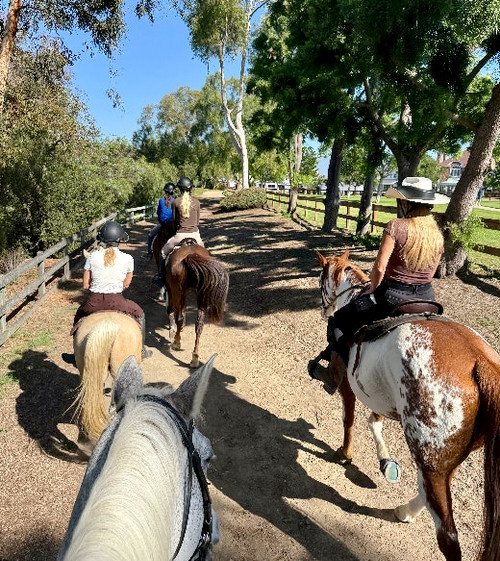 Screenshot 2025-12-15 at 10.24.08 AM.png