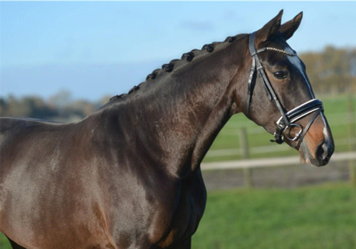 FHxLIgd-2fT5nJoYPIWSxU8J0